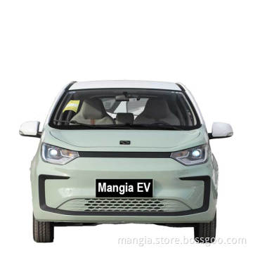 High quality and low price of new energy vehicles New electric vehicle made in China SOL E10X 4-wheel mini electric car in 2022